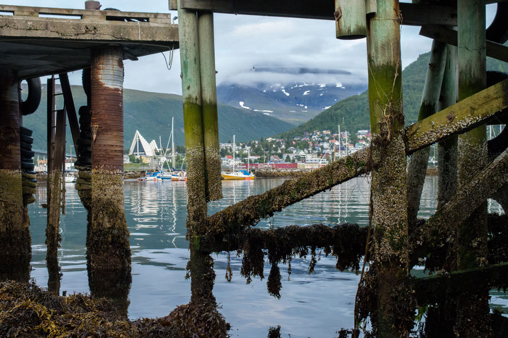 Tromsø harbor. 