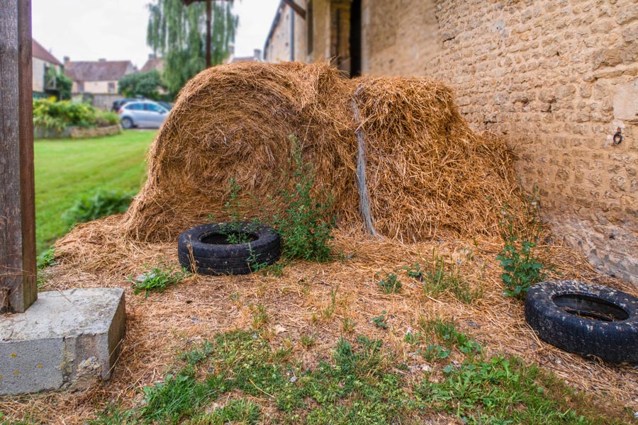 Bed and Breakfast Normandië La Vieille Ferme France Tip