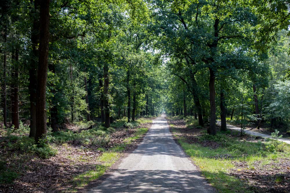 Route naar het verscholen dorp in Vierhouten