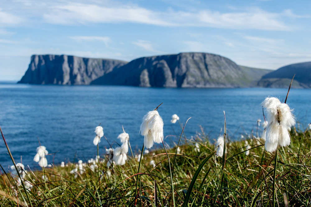 knivskjelodden