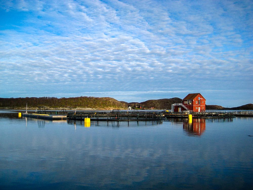 Salmon farm