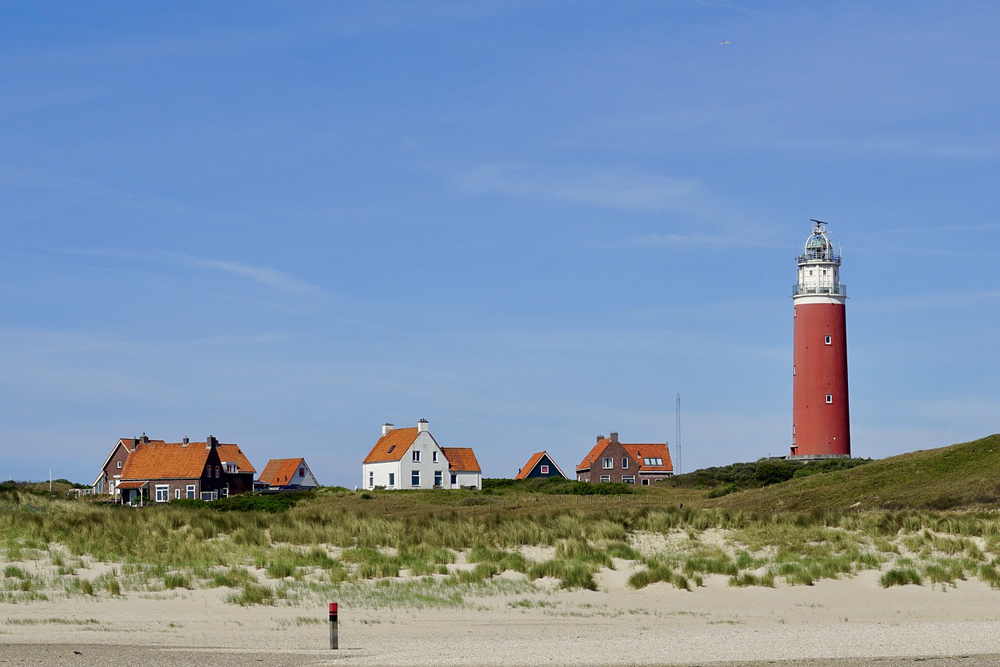 Boomgrens aan de kust