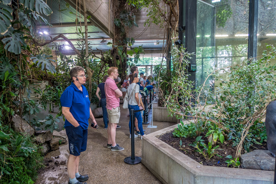 Artis dierentuin Amsterdam