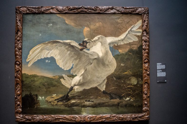 Rijksmuseum: Escape Game - My Little Travel Stories